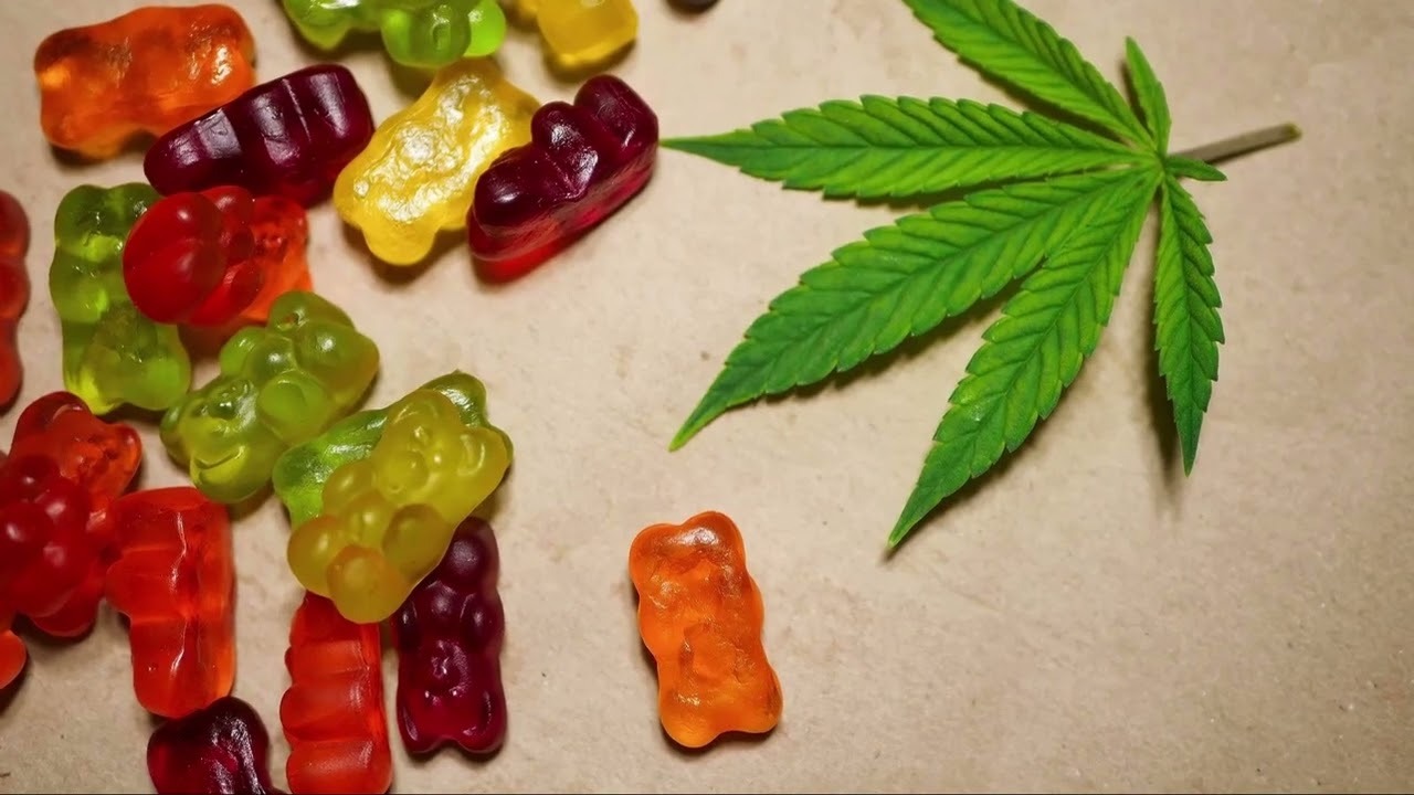 Your Complete Guide to Are Mushroom Gummies Legal Before Purchasing